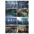 China Gcr15 Alloy Steel Pipe zu verkaufen